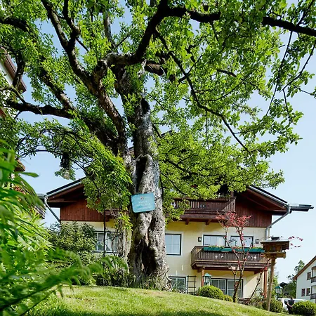 호텔 Romantikhotel Zell Am 4*