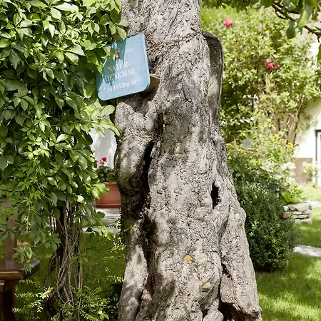 罗曼蒂克泽尔恩西酒店 酒店 滨湖采尔