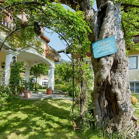 Romantikhotel Zell Am 4* 젤암제
